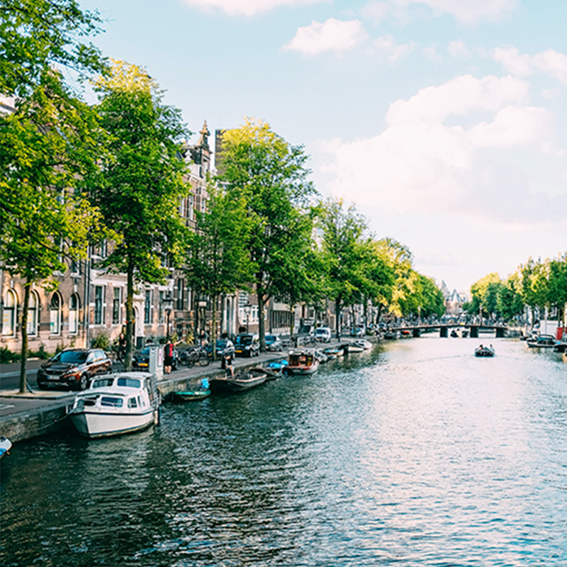 Ams